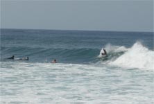 LAS AMERICAS